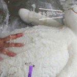 デアのぬいぐるみクリーニングは100％天然石けんの手洗いです