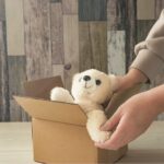 箱に入ったクマのぬいぐるみ