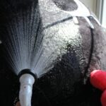 着ぐるみにシャワーをかける様子