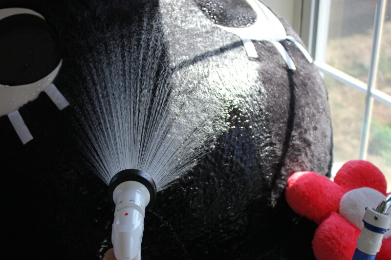 お客様の声画像