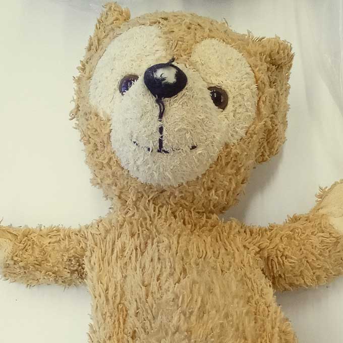 ダッフィー鼻修理前：生地が傷んだ状態